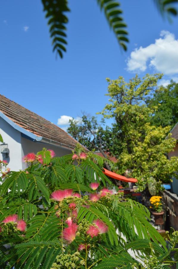 Das Nest Eisenstadt Exterior foto