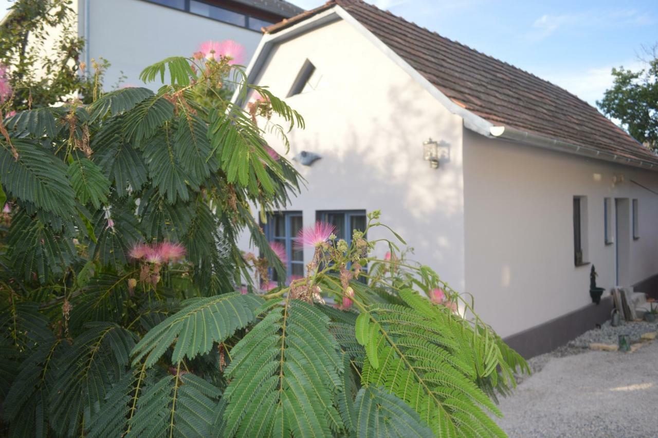 Das Nest Eisenstadt Exterior foto